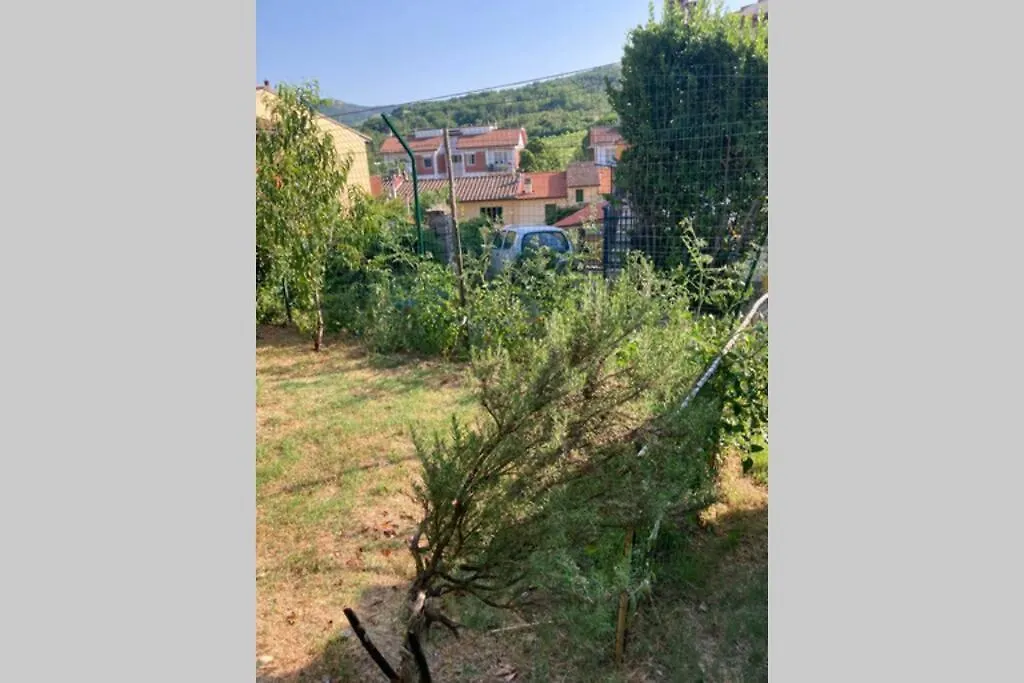 Chalet Le Rose Del Chianti Villa Vicchiomaggio Holiday home